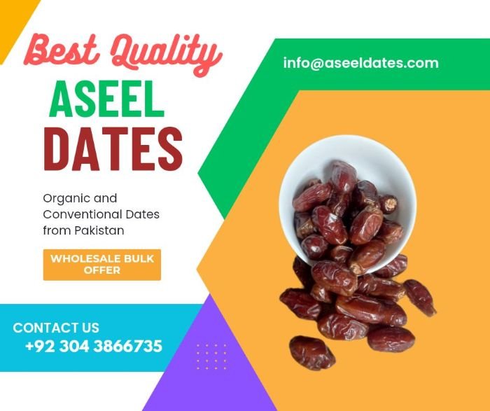 Best Pakistani Dates